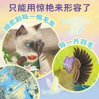 幸福的旅程国际大奖大师绘本全8册精装礼盒 海豚绘本花园3-6岁大奖大师儿童绘本故事书凯迪克银奖浆果之歌魔法羽毛精美绘本课外阅读儿童书籍读物