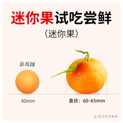 福瑞达 爱媛38号果冻橙新鲜橙子水果当季整箱四川手剥甜柑橘10斤大果包邮