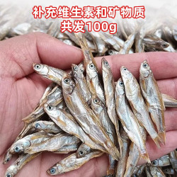 雅礼颂 小乌龟饲料通用淡水无盐小鱼小虾干龟粮零食巴西草龟家用缺钙专用