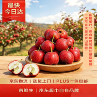 京鲜生 糖葫芦山楂 净重2.5斤 单果5g起 生鲜水果