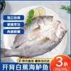 湄公大厨 清蒸白蕉海鲈鱼 450g-550g/条 3条装