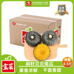 佳农 源头直发 贝贝南瓜  单果约250g+ 4.5斤