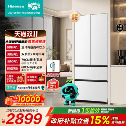 海信 BCD-509E5SFZKD 法式多门超薄零嵌入冰箱