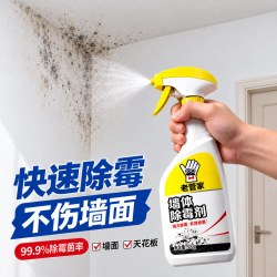 老管家 管家 墙体除霉剂500ml墙面衣柜瓷砖去霉斑霉菌清洁剂喷雾