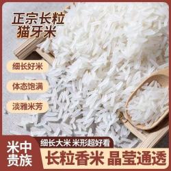 农嘉道猫牙香米 细长粒新米  猫牙王250g*2袋