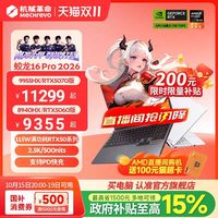机械革命 蛟龙16Pro 璃光白R9-8940HX ＋5060 16英寸2.5K 300HZ游戏本