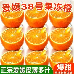 酷果汇 特大果王 四川眉山 爱媛38号果冻橙 4.5斤装 单果80-100MM