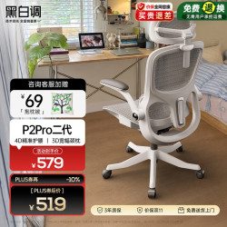 黑白调 P2 Pro 人体工学椅 霜白 标配款