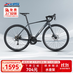 喜德盛 公路自行车2025款RC300碟刹走线车架 16速 灰黑色 480MM 灰黑色 16速