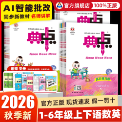 荣德基 典中点 小学语数英同步训练练习册