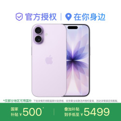 苹果 iPhone 17 双卡手机