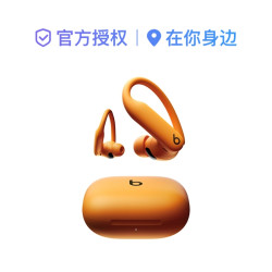 苹果 Beats Powerbeats Pro 2 - 高性能无线蓝牙耳机