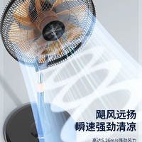 钻石牌 电风扇家用轻音落地扇立式遥控办公室宿舍大风力摇头工业扇