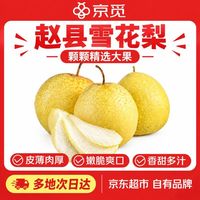 京觅 河北赵县雪花梨净重8斤单果280g+ 新鲜水果 源头直发包邮