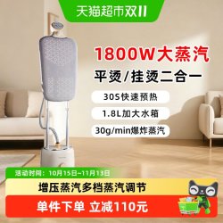 荣事达 手持蒸汽挂烫机家用熨斗烫衣服小型手持熨烫机挂立式电熨斗