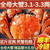 百亿补贴:今旺 鲜活大闸蟹3.1-3.3两全母螃蟹现货顺丰包邮足斤足两