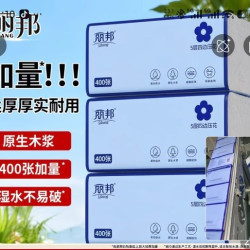 丽邦 抽纸400张 规格180*143