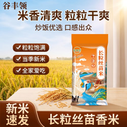 谷丰 领长粒香米煲仔谷/非真空长粒丝苗米500*1袋