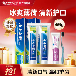 云南白药 健齿护龈牙膏 薄荷香型 210g*2