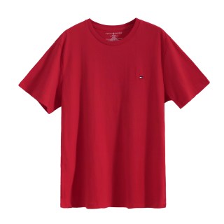 移动端：TOMMY HILFIGER 男士短袖T恤 网球穿搭