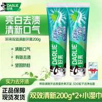 好来 黑人牙膏清新双效薄荷味大容量含氟清新口气200g家庭装男女牙膏 双效清新200g*2+小湿巾