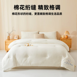 无印良品 A类棉花被