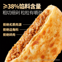 大希地 4大0添加放心吃：安格斯牛肉馅饼520g 馅料≧38%