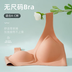 蕉氧芭 小凉风无尺码无痕内衣女无钢圈聚拢女士文胸