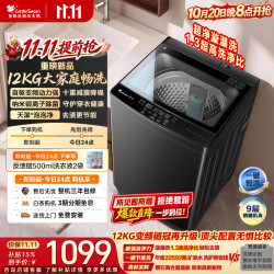 小天鹅 TB12V28DT 波轮洗衣机全自动家用 12KG大容量 直驱变频 洗全家大件一级能效 京东自营