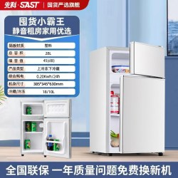 先科 冰箱SAST先科一级能效家用小型租房宿舍静音迷你直冷超薄冷冻冷藏