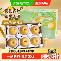 88VIP：农鲜淘 山东秋月梨当季新鲜水果脆甜多汁鲜梨子