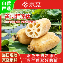 京觅 山西黄河滩莲藕 净重4.5斤 小段 爽脆可口 真空锁鲜 蔬菜源头直发