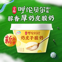 伊利 宫酪奶皮子网红酸奶醇香厚奶皮早餐酸奶