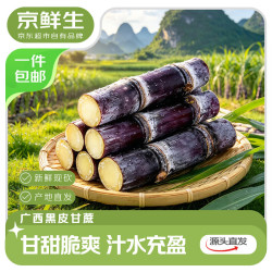 京鲜生 广西南宁黑皮甘蔗 净重9斤装脆甜多汁新年水果源头直发 9斤装