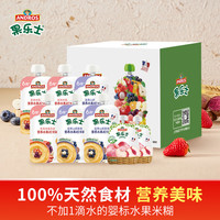 Fruit Me Up 水果米糊组套100g