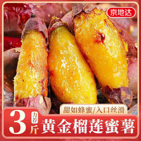 京地达 山东正宗猫山榴莲蜜薯红薯单果50g+净重3斤高糖软糯源头直发包邮