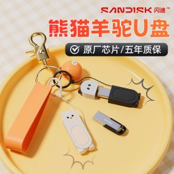 闪迪 正品学生U盘卡通可爱熊猫女生创意优盘手机电脑两用高速优盘