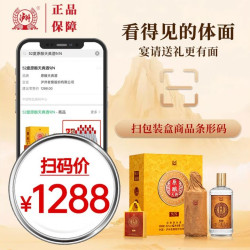 泸州老窖 股份出品 原酿天典9N 浓香型白酒 高端绸布礼盒 52%vol 500mL 6瓶 原箱发货