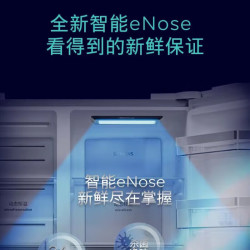 西门子 冰箱637升对开门新款嵌入式AI超氧锁鲜家用大容量玻璃面板大冷冻空间气密保险仓无霜KA99VA450C