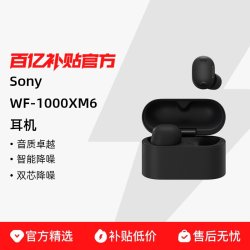 索尼 WF-1000XM6双芯旗舰真无线降噪蓝牙耳机国行版