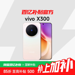 vivo X300 5G手机