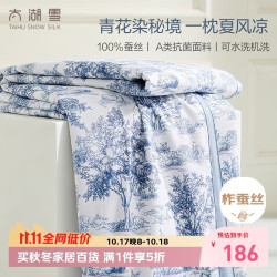 太湖雪 100%蚕丝夏凉被 全棉可水洗空调被 A类抗菌防螨夏季薄被2*2.3m