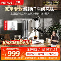 柏翠 半自动意式咖啡机小型家用自动打奶问月ProPE3811Pro单机