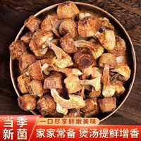 京鲜生 姬松茸干货净重100g云南特产无硫松茸菌巴西菇蘑菇菌菇源头直发