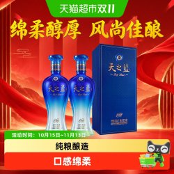 洋河 天之蓝风尚版52度480ml*2瓶绵柔浓香型白酒送礼含礼袋