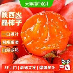 京运达 正宗陕西柿子 新鲜时令水果 临潼柿子大果整箱