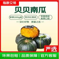 贝贝南瓜 净重 3斤