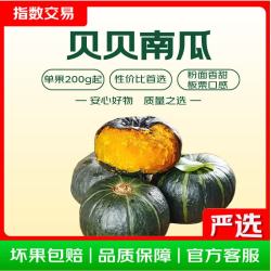 贝贝南瓜 净重 3斤
