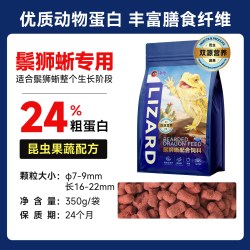 PORPOISE 鬃狮蜥专用粮蜥蜴幼体成饲料绿蜥蜴素食昆虫果蔬配方活饵替代