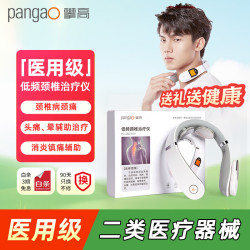 攀高 低频颈椎治疗仪颈椎病辅助治疗热敷理疗仪送长辈礼物PG-2601B19